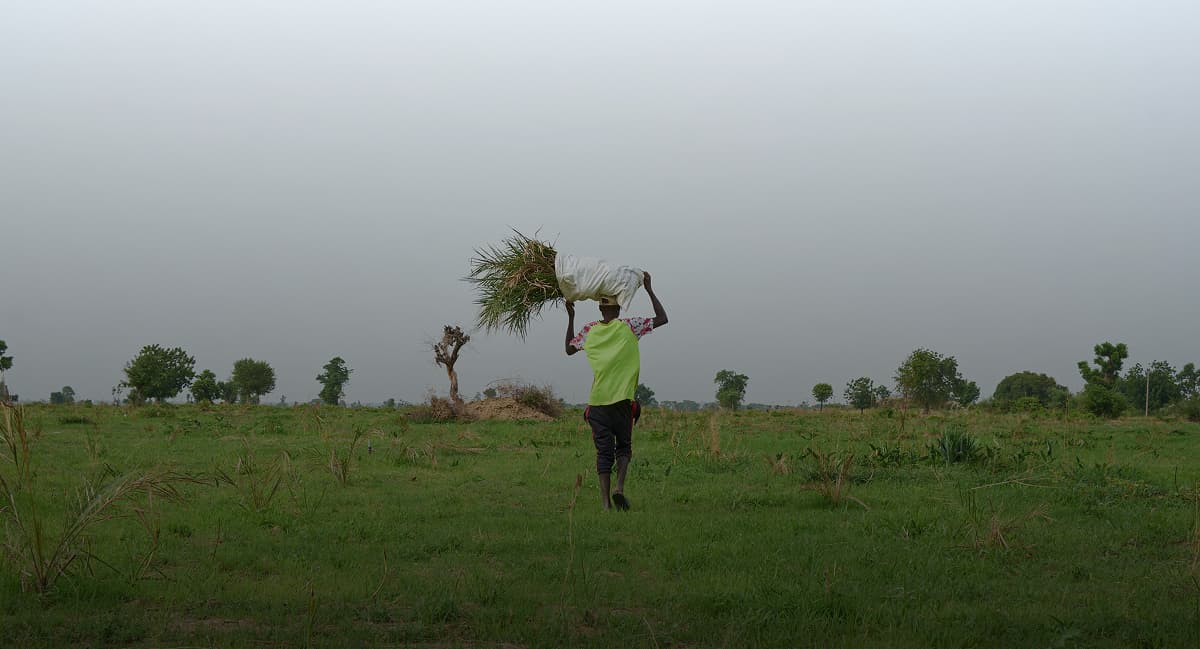 Community member in rural landscape